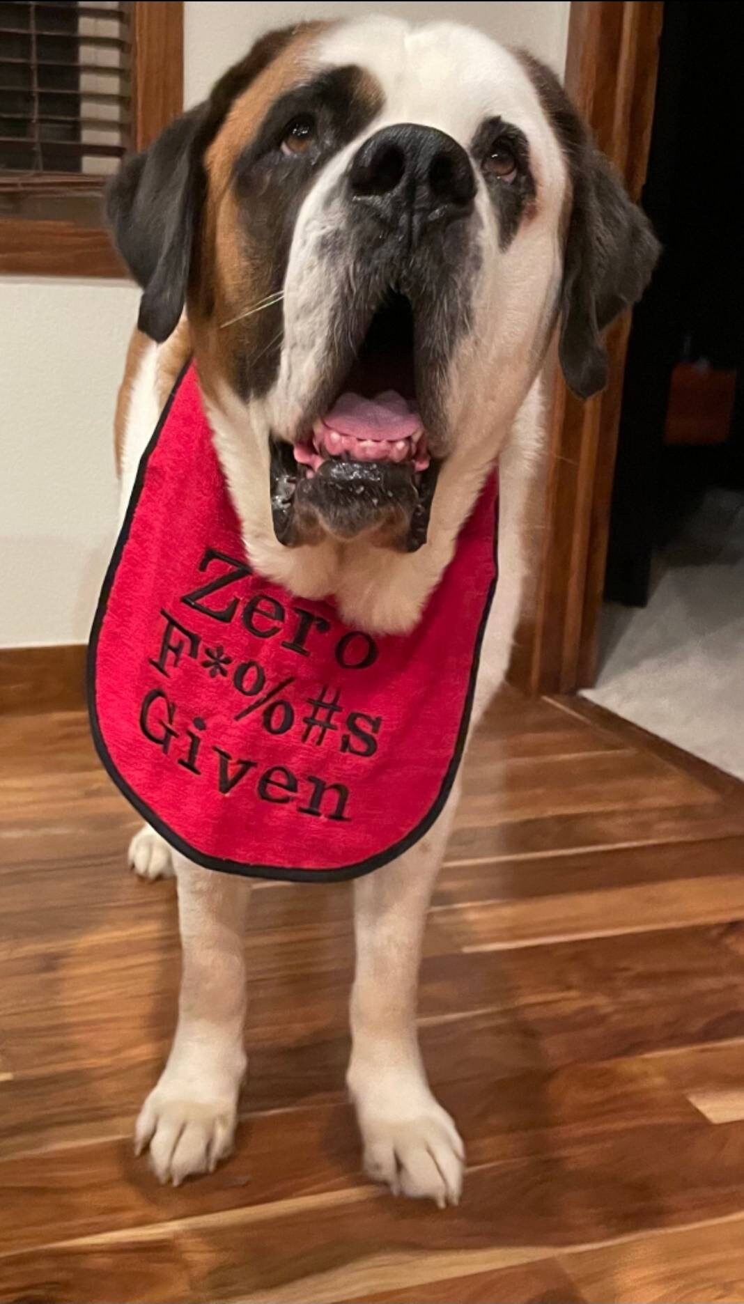 Big dog cheap drool bibs