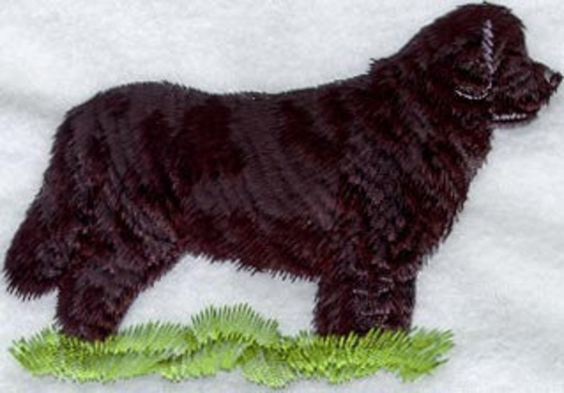 May include: A brown Newfoundland dog standing on a green grassy surface. The dog is facing to the right and has a long, thick coat.