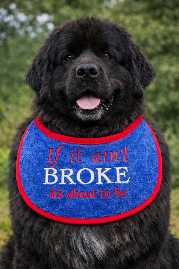 Large Breed Dog Bib: Absorbent Terry Towel, Newfoundland, St Bernard