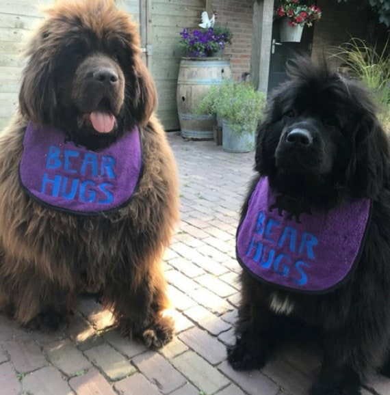 Dog Bib ,Large Breed dog bib- Newfoundland Bib - St Bernard Bib - Large Dog Slobber bib - Big dog bib - drool bib