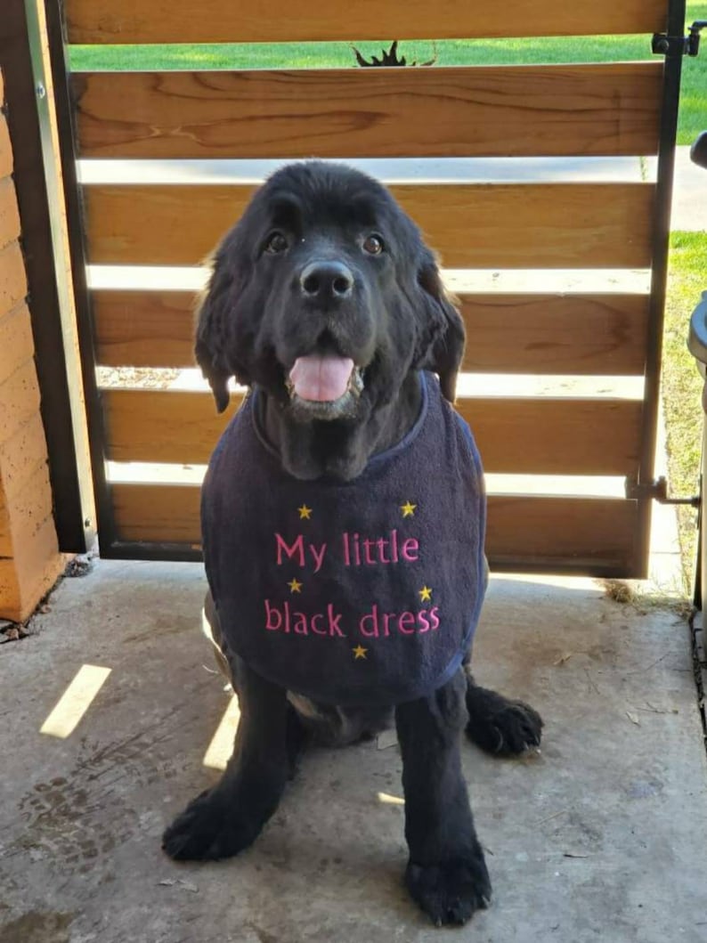 Large drool slobber dog bib newfoundland St Bernard etc Etsy