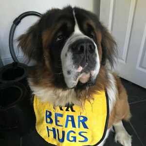 Dog Bib ,Large Breed dog bib Newfoundland Bib St Bernard Bib Large Dog Slobber bib Big dog bib drool bib zdjęcie 3