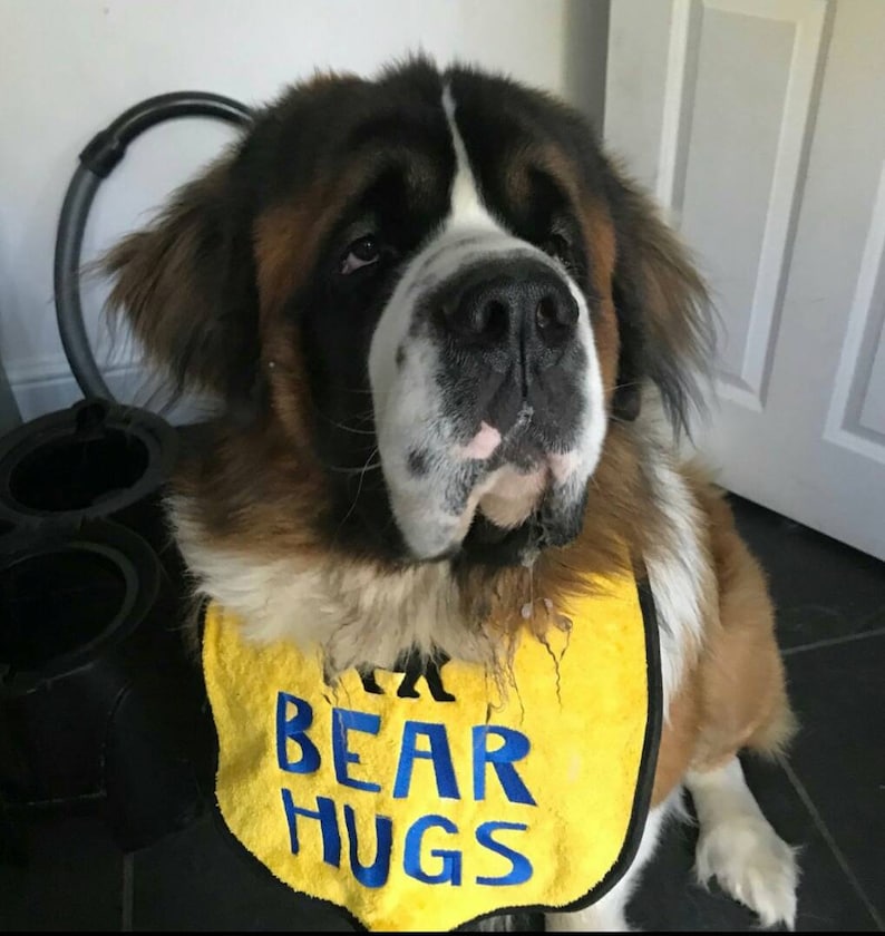 Dog Bib ,Large Breed dog bib Newfoundland Bib St Bernard Bib Large Dog Slobber bib Big dog bib drool bib zdjęcie 3