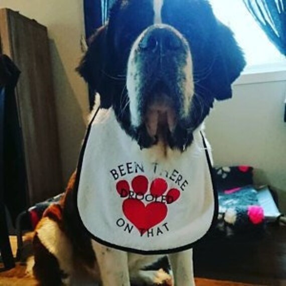 Dog Bib ,Been there drooled on that,  Large drool dog bib, slobber dog bib ,newfoundland ,St Bernard dog bib,