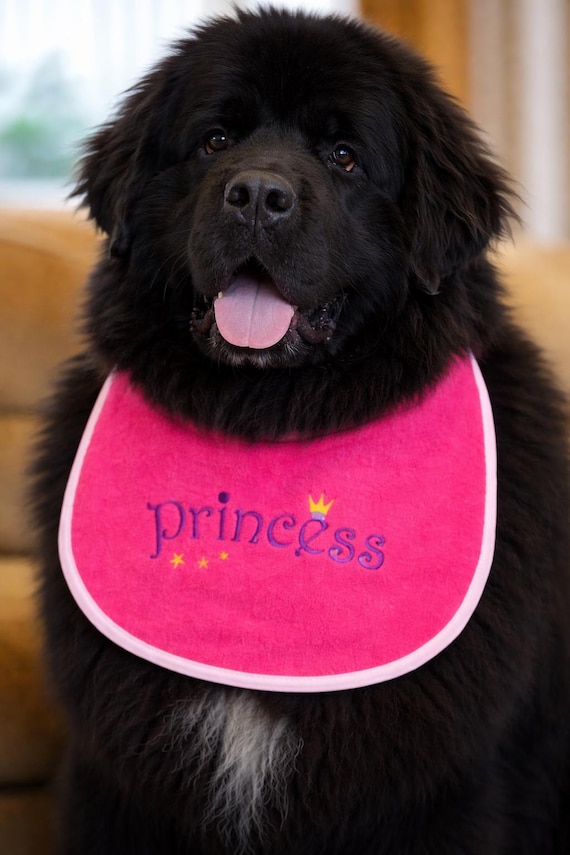 Large Breed Dog Bib: Absorbent Terry Towel, Newfoundland Drool Bib