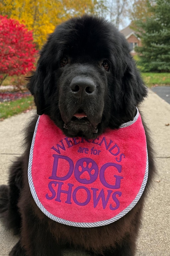 Large Breed Dog Bib, Newfoundland, Terry Towel, Embroidered