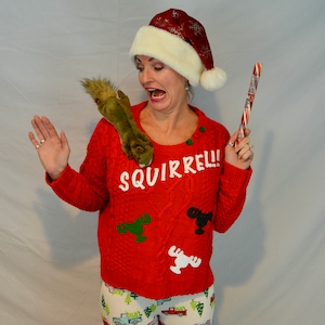 Multi size, Squirrel, Ugly Christmas sweater, Women, National Lampoons Christmas Vacation inspired, Party Sweater, cute, jumper image 1