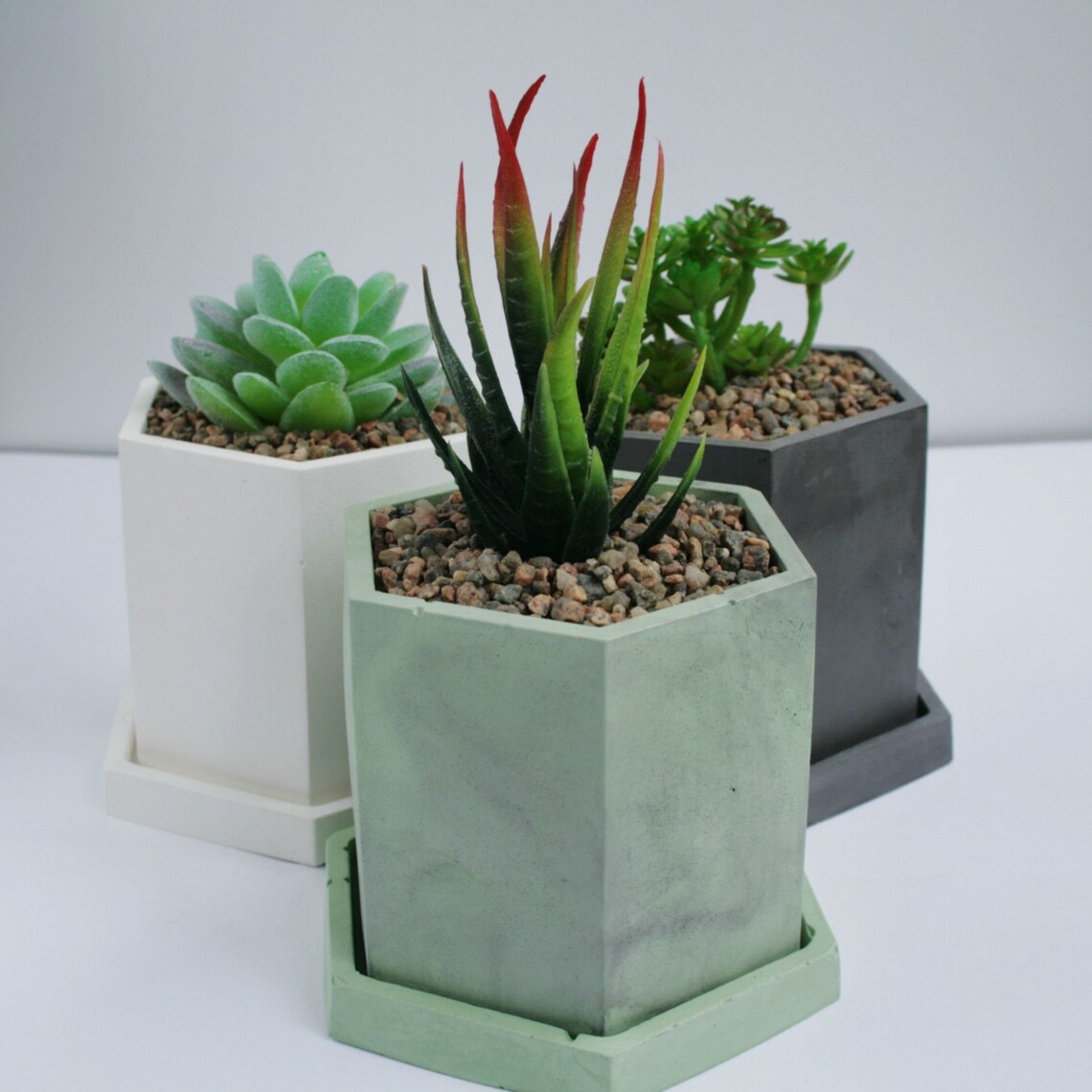 Succulent Plant Pots with Drainage Hole and Tray Concrete Etsy
