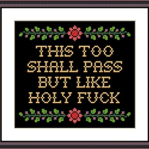 Även detta ska passera, men likt Holy F*ck, roligt korsstygnsmönster i PDF-format, roligt populärt meme, vuxen, sarkastisk, sarkastisk, sublimering bild 10