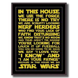 Funny Cross Stitch PDF Pattern - In This House We Do Star W