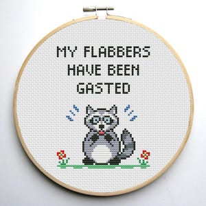 My Flabbers Have Been Gasted Funny Cross Stitch Pattern PDF Funny Raccoon Popular Meme Adult Sarcastic Snarky Sublimation