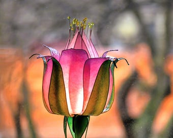手作りで手描きされた、金色の金属製のステムにピンクの花の形をしたランプシェードが付いたテーブルランプ。