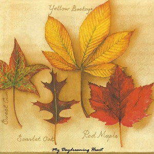 Leaves Decoupage Napkins Set Of 3 Lunch 13&quot; x 13&quot; Fall Craft Napkins