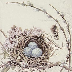 Bird Nest Decoupage Napkins Set Of 2 Beverage 10" x 10" Craft Napkins