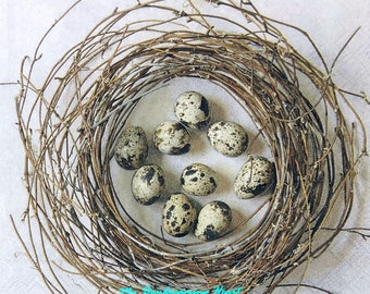 Bird Nest Decoupage Napkins Set Of 2 Beverage 10" x 10" Craft Napkins