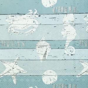 Beach Decoupage Napkins Set Of 2 Beverage 10" x 10" Coastal Craft Napkins