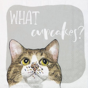 Cat Humor Decoupage Napkins 2 Beverage 10&quot; x 10&quot; Craft Napkins