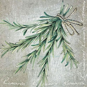 Rosemary Decoupage Napkins Set Of 2 Beverage 10&quot; x 10&quot; Herb Craft Napkins