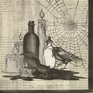 Raven & Potions Decoupage Napkins Set Of 3 Crow Lunch 13&quot; x 13&quot; Craft Napkins