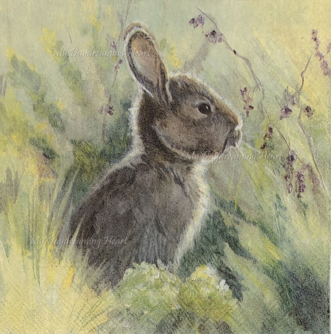 2 Bunny Rabbit Decoupage Beverage Napkins for Crafts Decoupage, Card