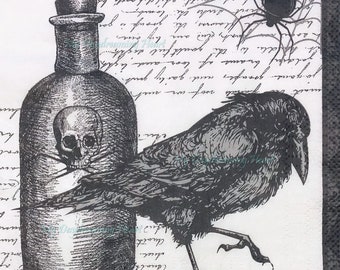 May include: A black and white illustration of a crow perched on a glass bottle with a skull and crossbones inside. The bottle has a cork stopper. The background is a white sheet of paper with handwritten text.