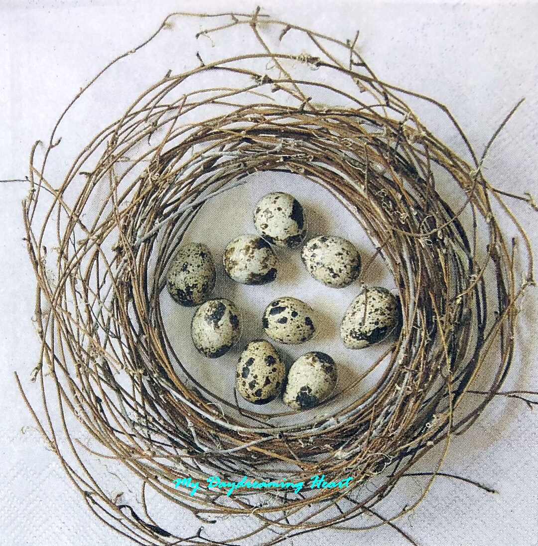 Bird Nest Napkins for Decoupage Bird Eggs Beverage Napkins Decoupage