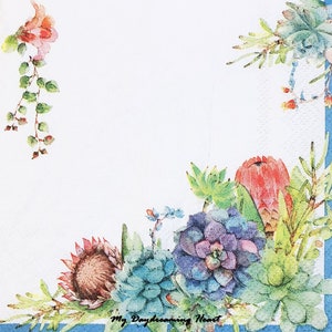 Succulents Decoupage Napkins Set Of 2 Beverage 10&quot; x 10&quot; Craft Napkins