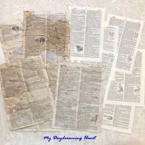 Dictionary Pages Combo Pack
Mix Of Coffee Dyed & Naturally-Aged 

30 Dictionary Pages Total
15 Pages Coffee Stained & 
15 Pages Naturally-Aged 

Both styles of dictionary pages are double-sided and both have pictures here and there