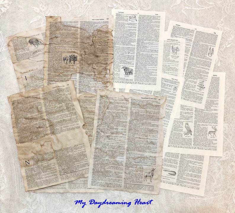 Dictionary Pages Combo Pack
Mix Of Coffee Dyed & Naturally-Aged 

30 Dictionary Pages Total
15 Pages Coffee Stained & 
15 Pages Naturally-Aged 

Both styles of dictionary pages are double-sided and both have pictures here and there