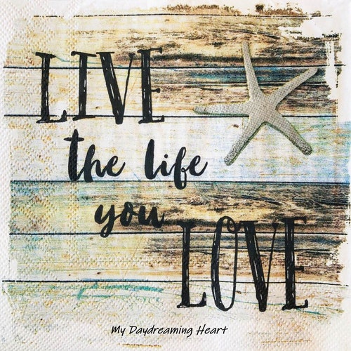 4 Decoupage Napkins Vintage Map of the World Travel Napkins Etsy