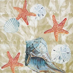 May include: A watercolor illustration featuring various seashells and starfish. The image showcases orange starfish, white sand dollars, and blue and white seashells against a beige background with seaweed patterns. The overall theme is coastal and nautical.
