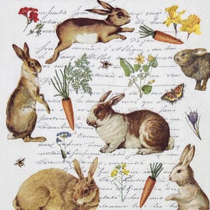May include: A decorative paper napkin featuring vintage illustrations of rabbits, carrots, flowers, and butterflies. The design includes handwritten script in the background, creating a charming, rustic aesthetic. The color palette includes shades of brown, orange, and green.