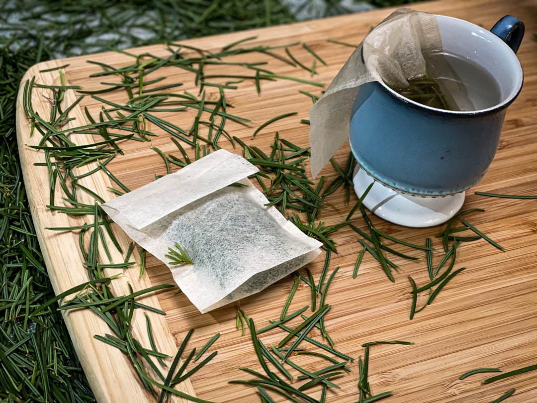 Fir Tea Doulas Fir Tea- 1 Tea Bag - Etsy