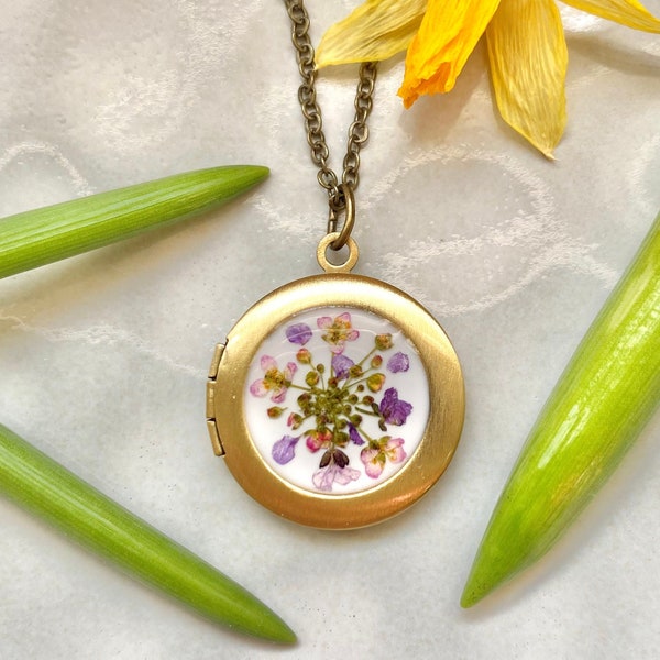 Necklace for photo, Personalized photo locket, Alyssum medallion, Real pressed flower jewelry Gift for her, Mothers day present Brass locket