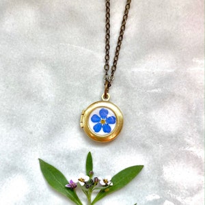 Tiny photo locket with real Forget Me Not flower, Little necklace for photo, Gift for daughter, Little girl locket, Daughter necklace memory afbeelding 1