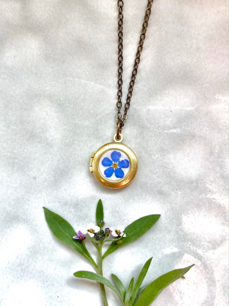 Tiny photo locket with real Forget Me Not flower, Little necklace for photo, Gift for daughter, Little girl locket, Daughter necklace memory afbeelding 1