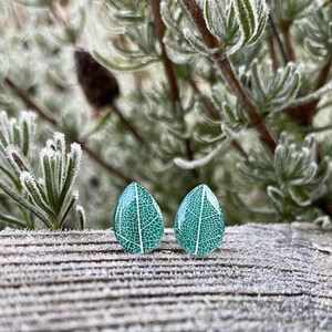 Leaf vein earrings, Gift for sister, Stylish stud earrings, Forest earrings, Teardrop studs, Woodland earrings, Leaf earrings image 3