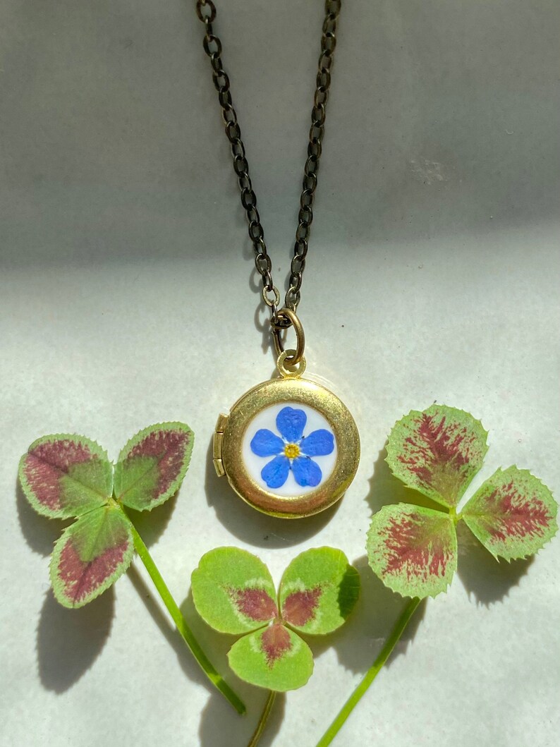 Tiny photo locket with real Forget Me Not flower, Little necklace for photo, Gift for daughter, Little girl locket, Daughter necklace memory afbeelding 4