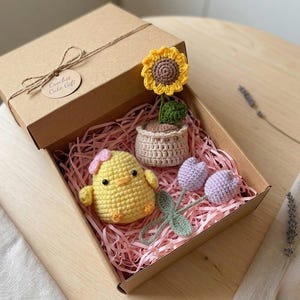Op de afbeelding: Een bruine kartonnen geschenkdoos met een geel gehaakt kuikentje met een roze strik, een gehaakte zonnebloem in een beige potje en twee lichtpaarse gehaakte tulpen met groene stelen. Het deksel heeft een touwtje en een label met de tekst Crochet Cute Gift.