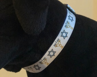 Hanukkah Themed Gold And Blue Adjustable Dog Collar Size Large - "The Laleh"