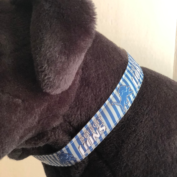 Detroit Lions Themed Silver and Blue Adjustable Dog Collar Size Large - "The Amani"