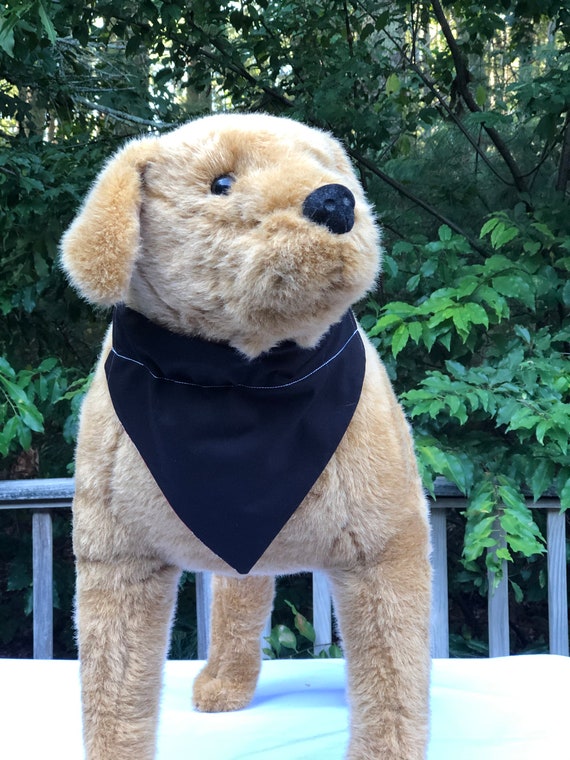 Golden knights dog collar online