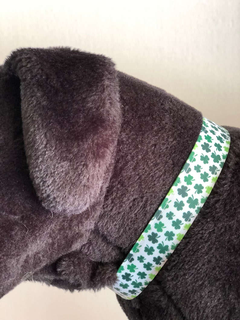 The Clancy Multi Colored Shamrocks St Patrick/'s Day Themed White and Green Adjustable Dog Collar
