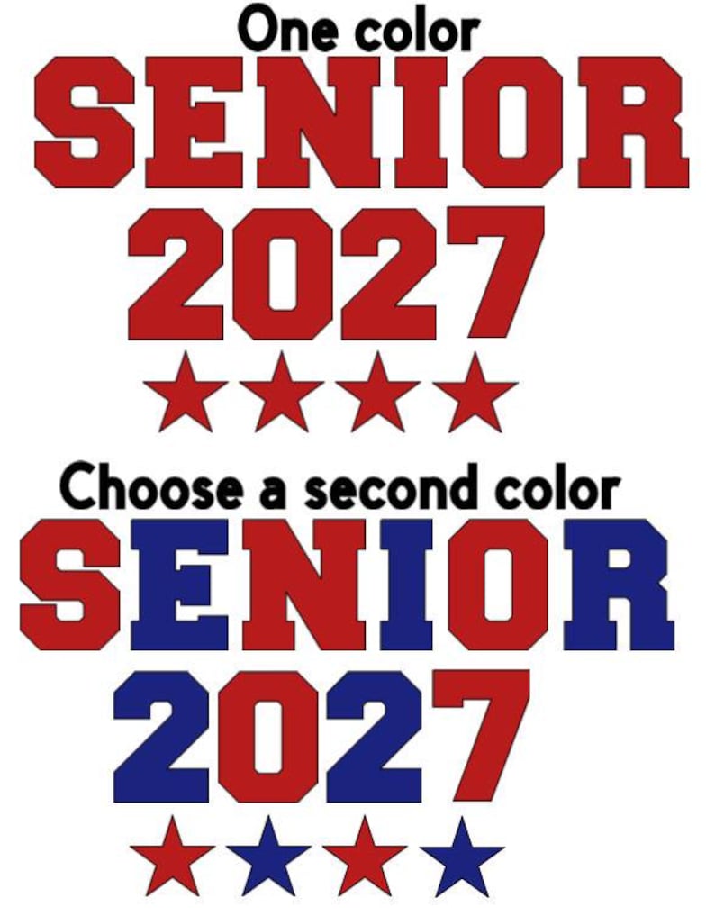 Glitter Senior Year Iron-On Decals - Custom Colors, DIY Jean Transfers afbeelding 3