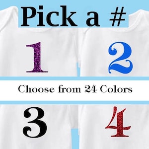 Number Iron On Heat Transfer Glitter or Matte Colors Birthday Number vinyl decal No Sew