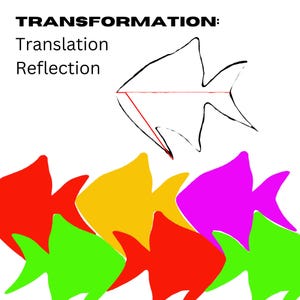 Może przedstawiać: Ilustracja z tekstem "TRANSFORMATION: Translation Reflection". Obraz przedstawia czarny kontur ryby z czerwonymi liniami i rząd kolorowych ryb w kolorze czerwonym, zielonym, żółtym i różowym.