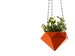 Hanging planter Diamond 3D printed Ruby 