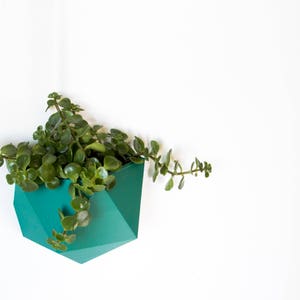 Stylish 3D Printed Icosahedron Wall Planter - Unique Textured Surface for Bonsai, Succulents & Small Plants