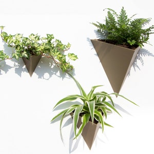 High-Quality Biodegradable Triangle Wall Planter - Multiple Colors & Sizes