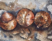 Acorns - Watercolor Painting - Woods - Woodland - Nature - Hiking - Wall Decor - Original Painting - Sepia - Rustic - Brown - Found Objects